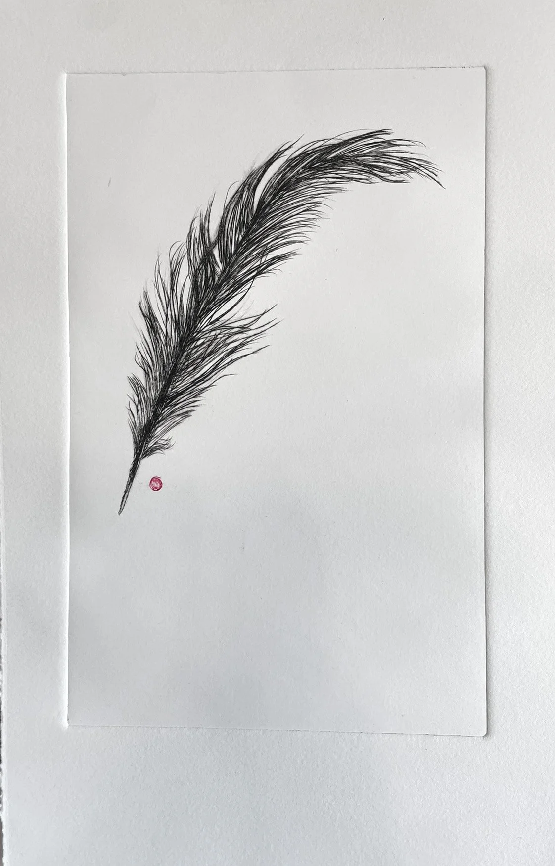 Feather w red dot copy.jpg