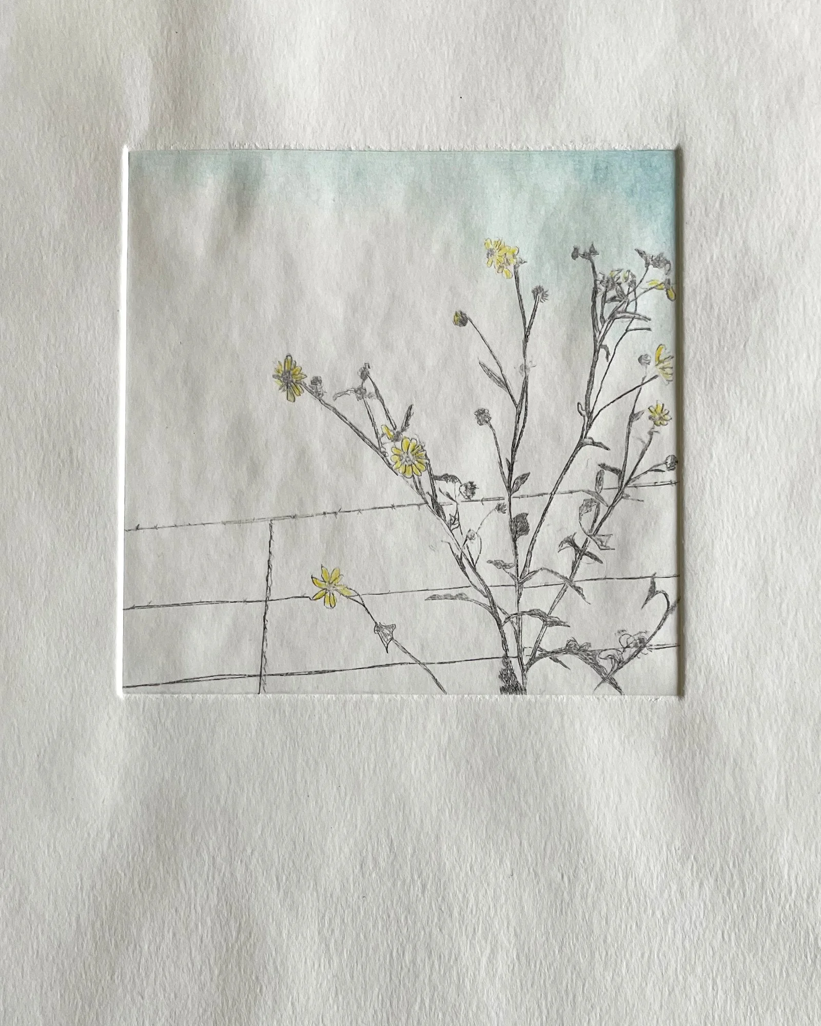 fence foilage copy.jpg