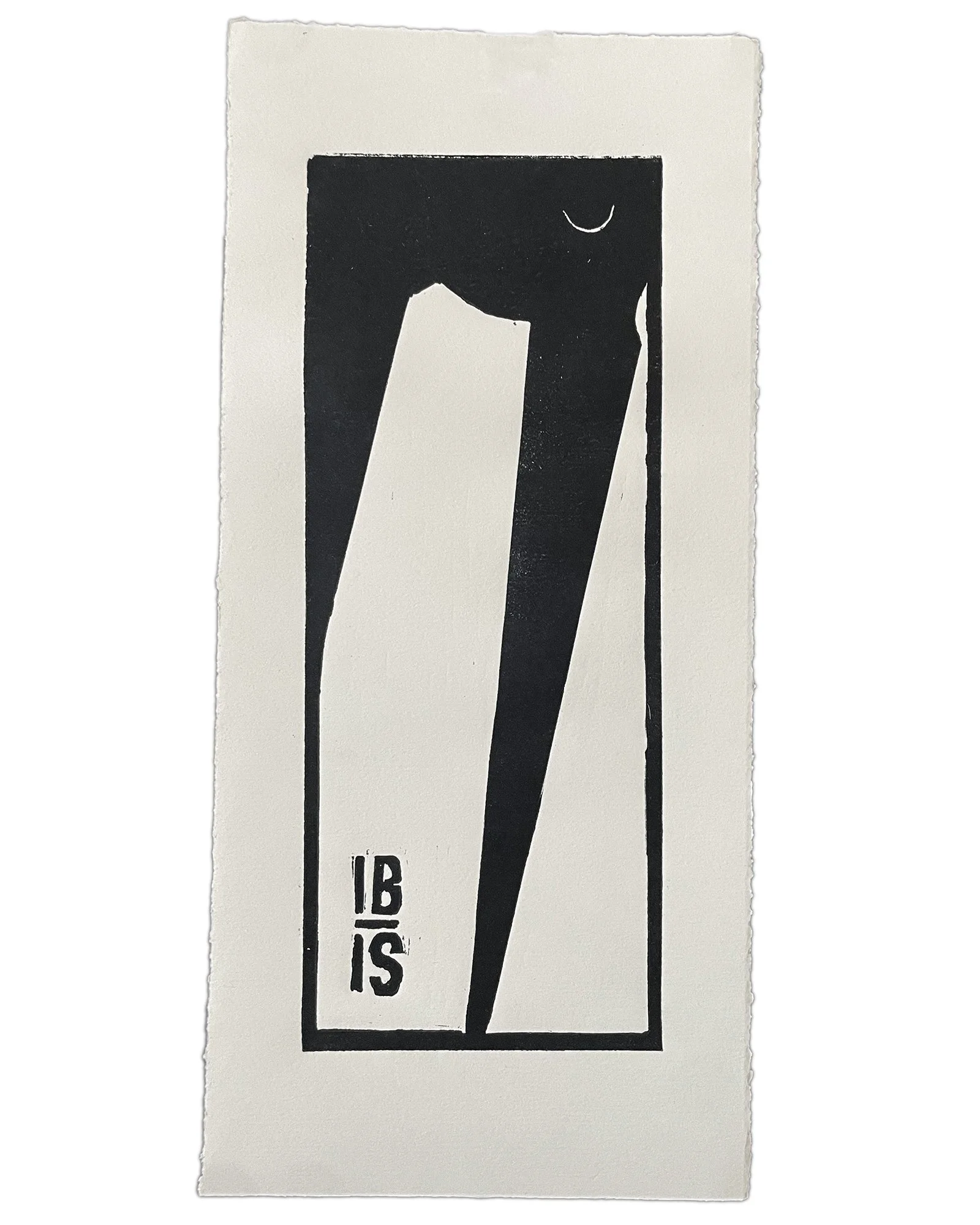 Ibis copy.jpg