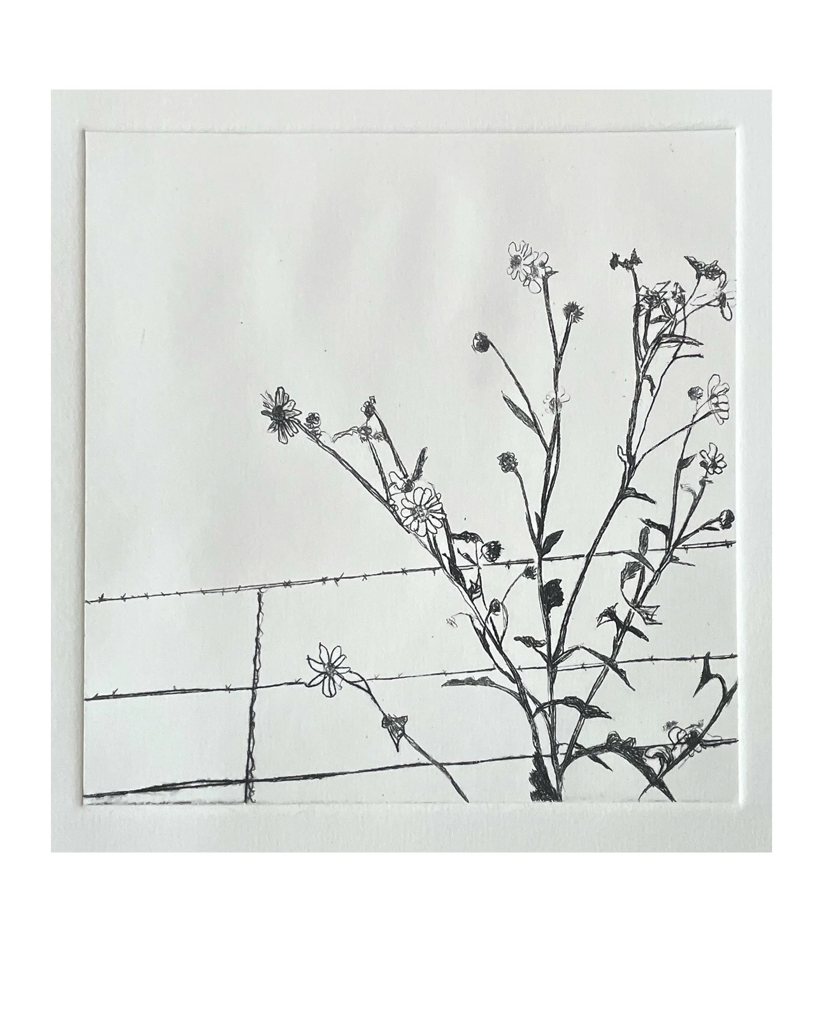 fence Flower copy.jpg