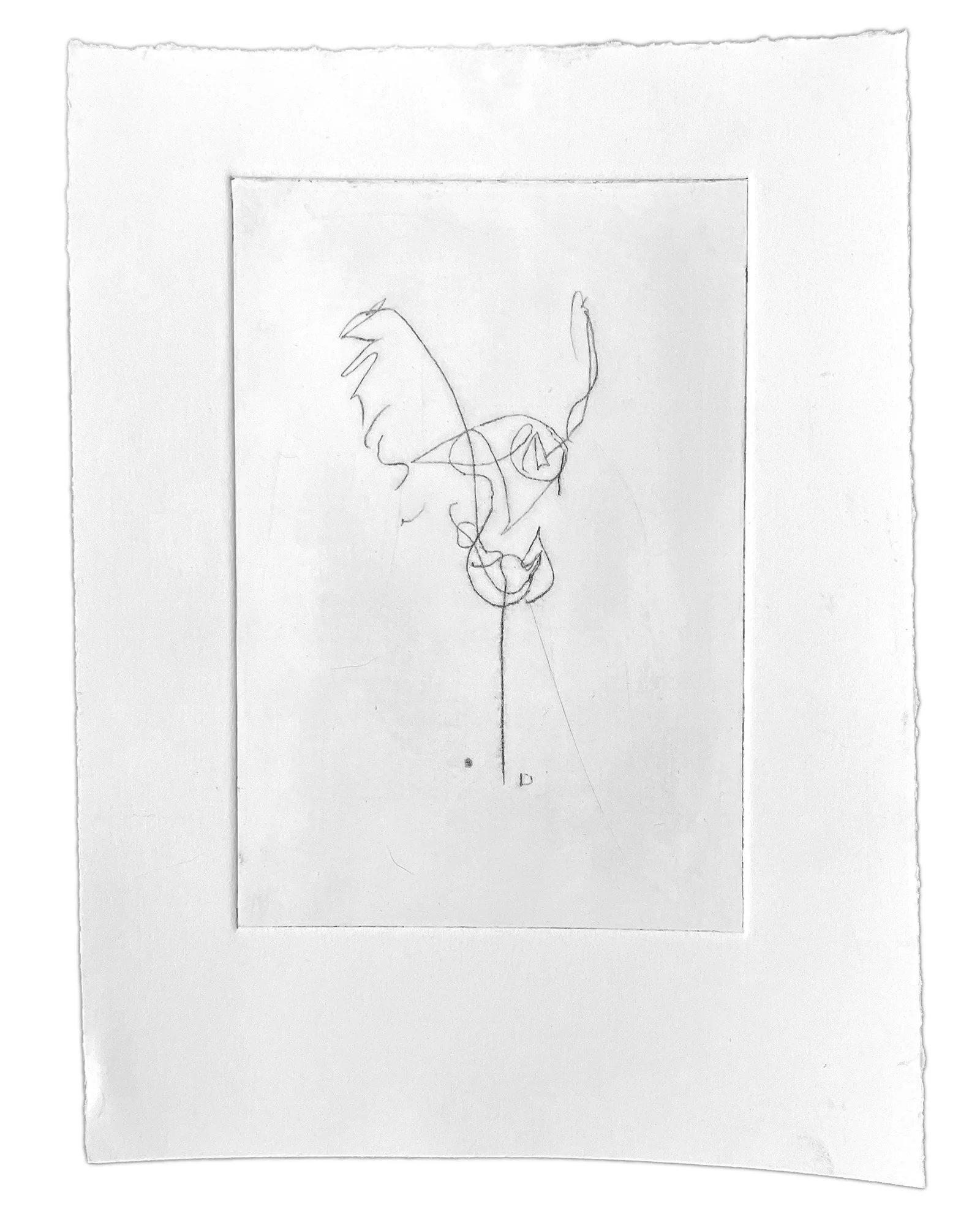 DahlAngelWing copy.jpg