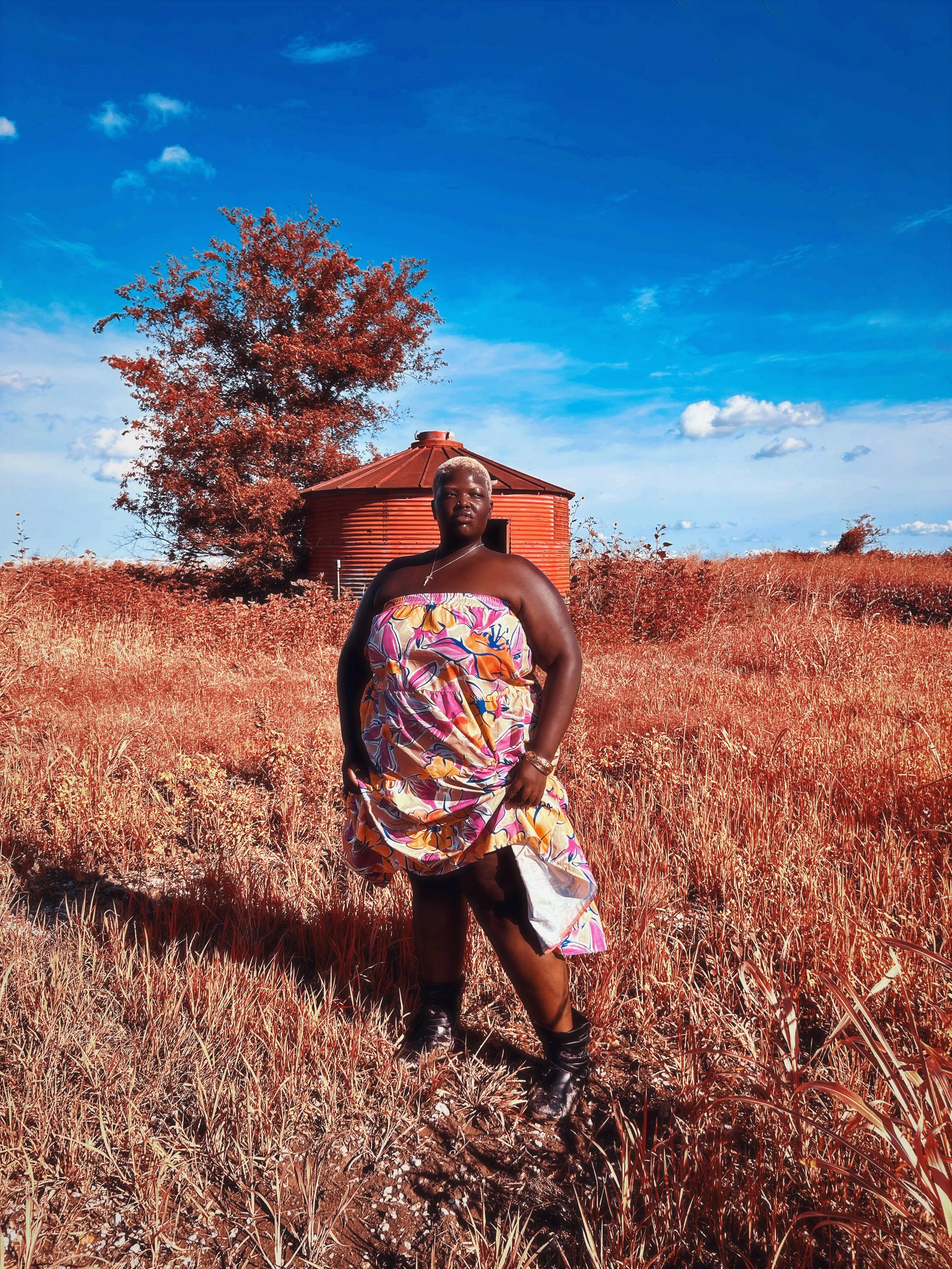 AfterlightImage 910.JPG