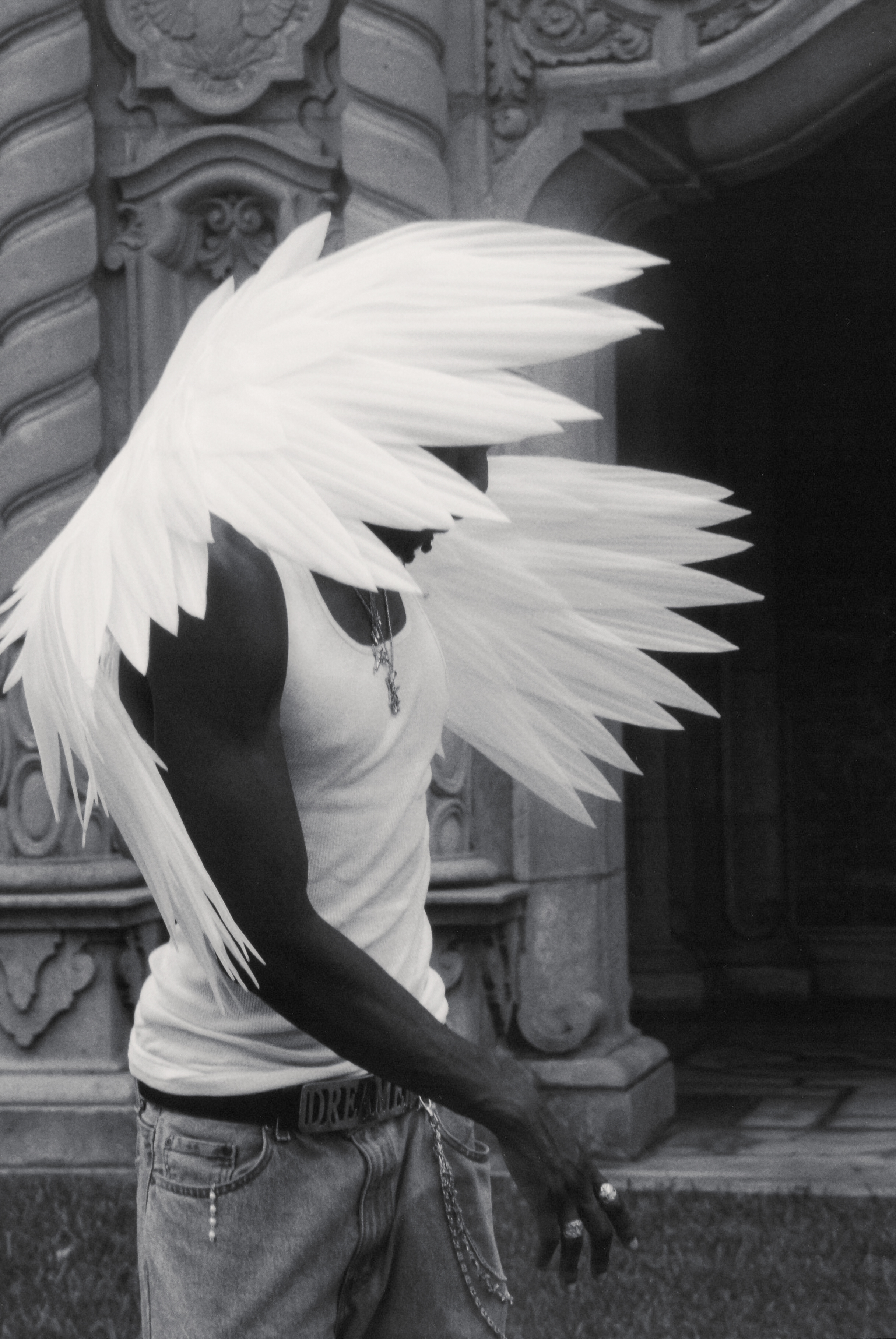 tempImageQSf8MW.png