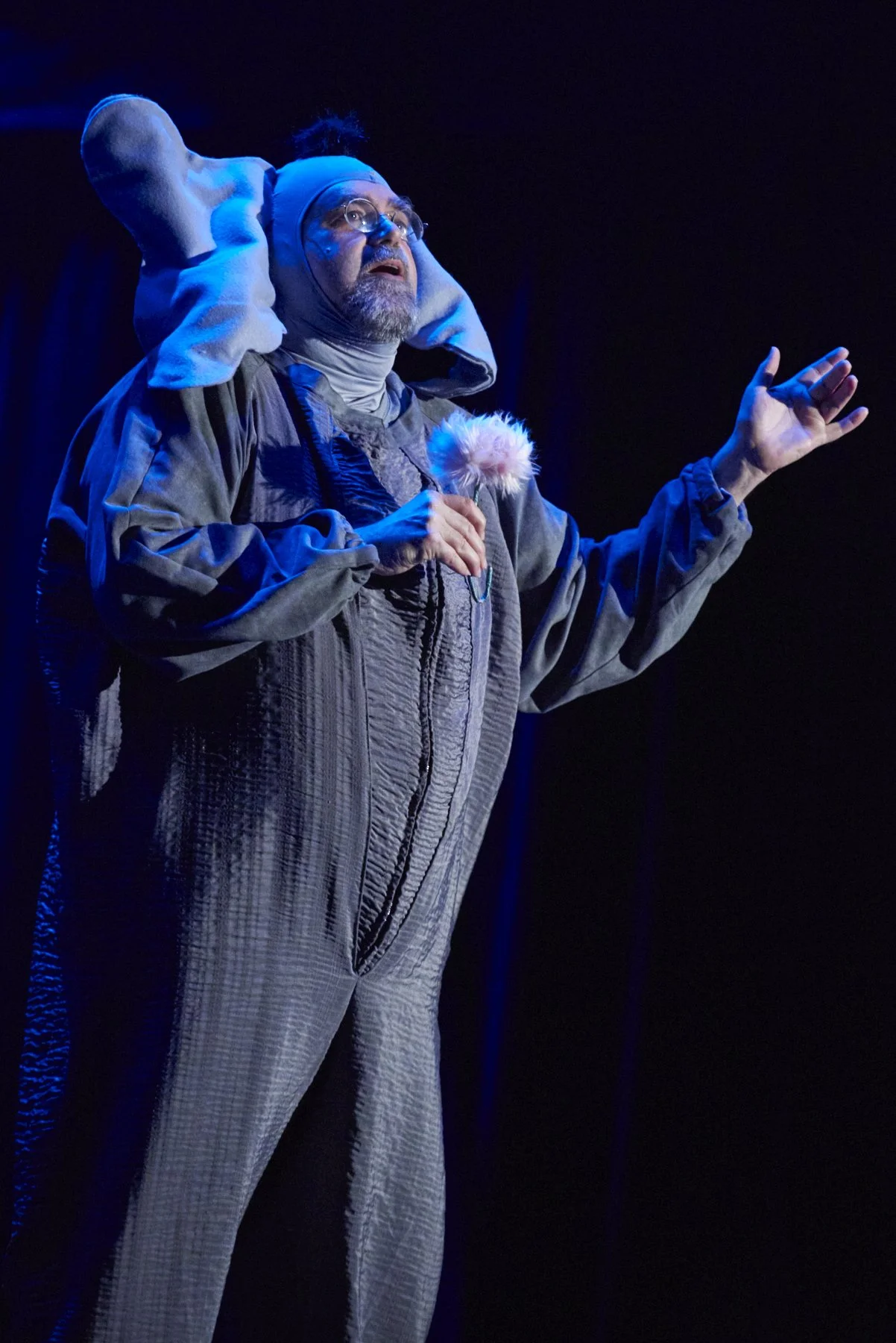 Picture from Suzart's Seussical the Musical