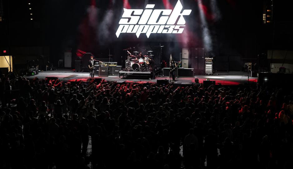 Sick Puppies.png