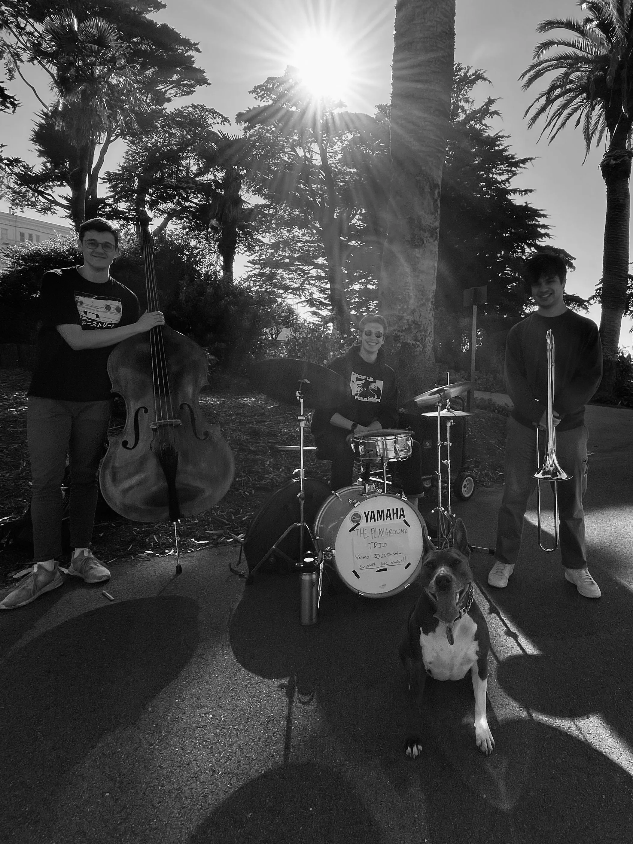 Playground Trio at Dawn Club (Late Set)