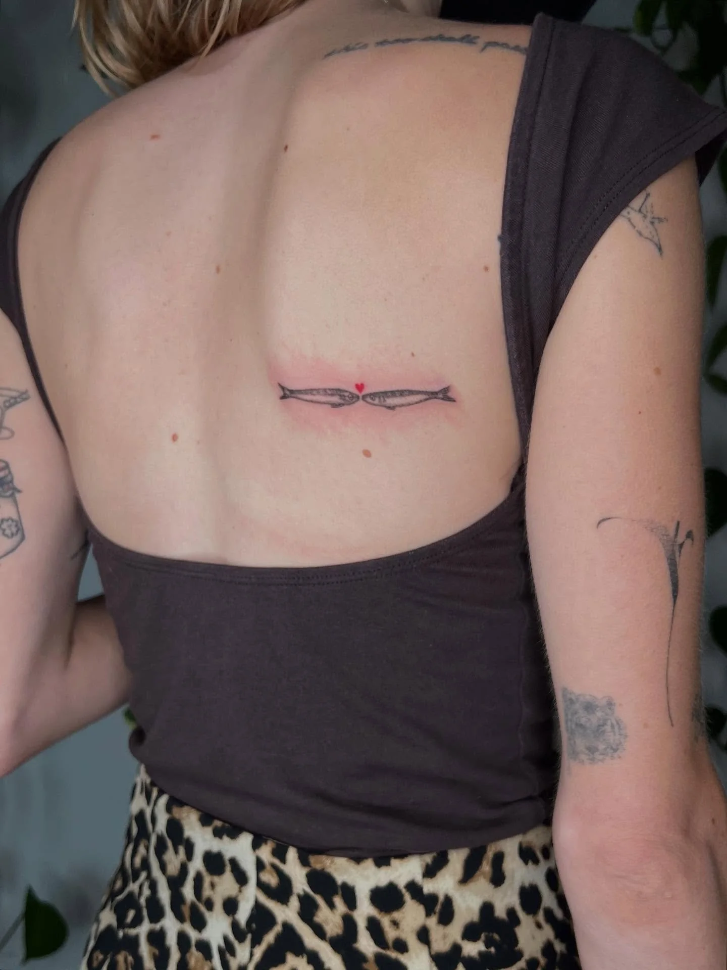 Fish + cows + a lily from February ❤️