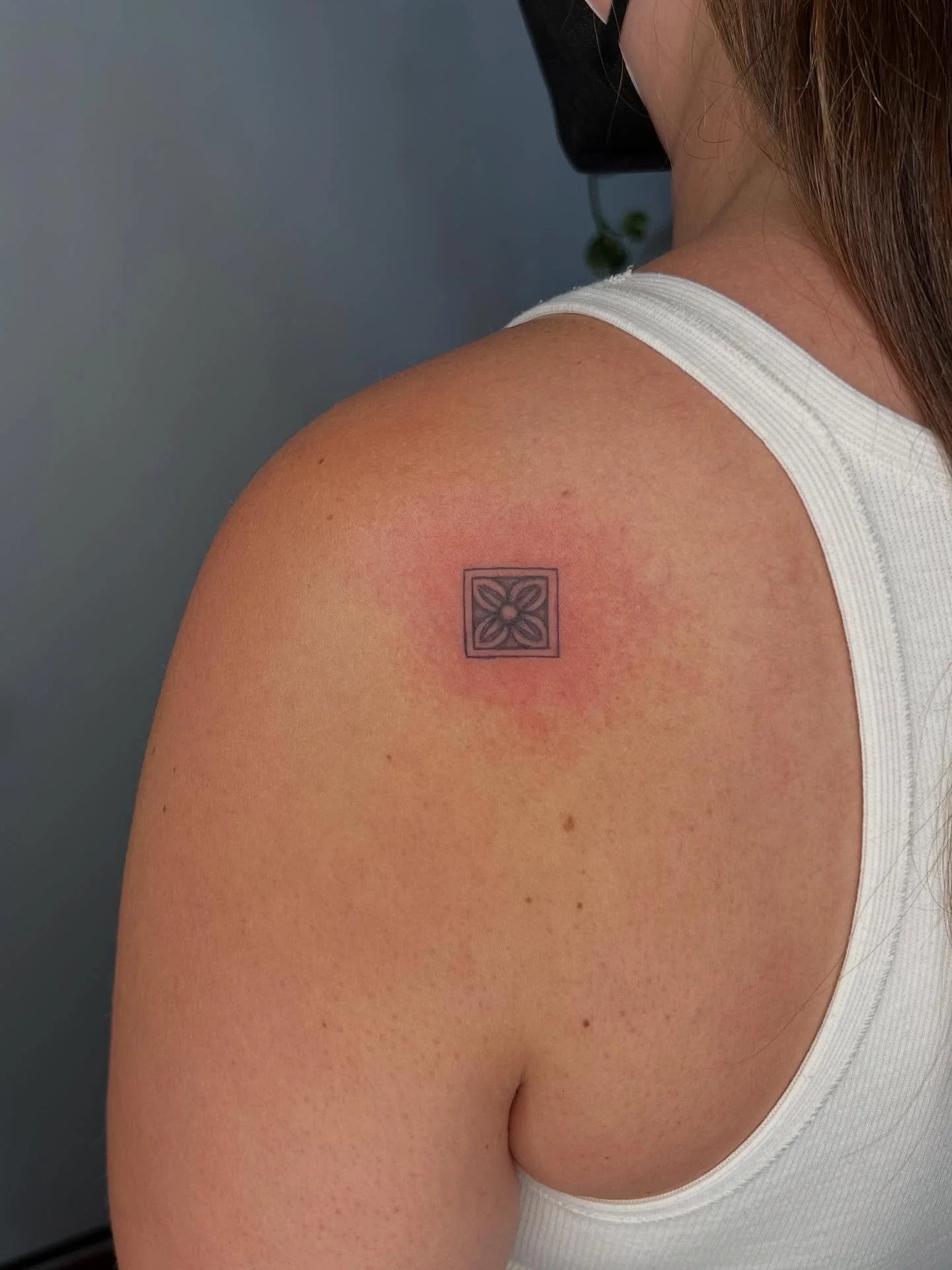 A couple of recent duets 👯&zwj;♀️