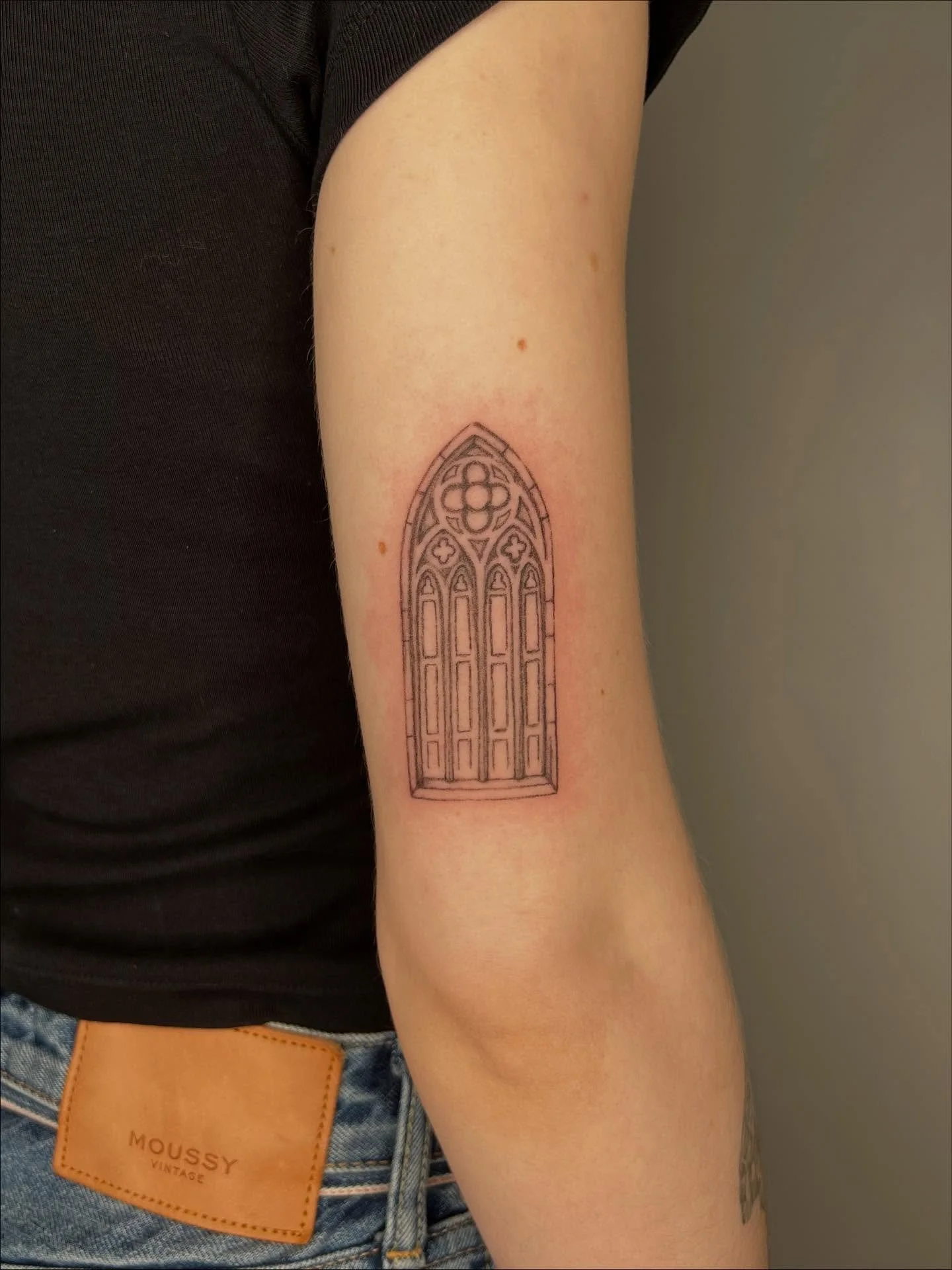 A bunch of recent guys from flash 🐍