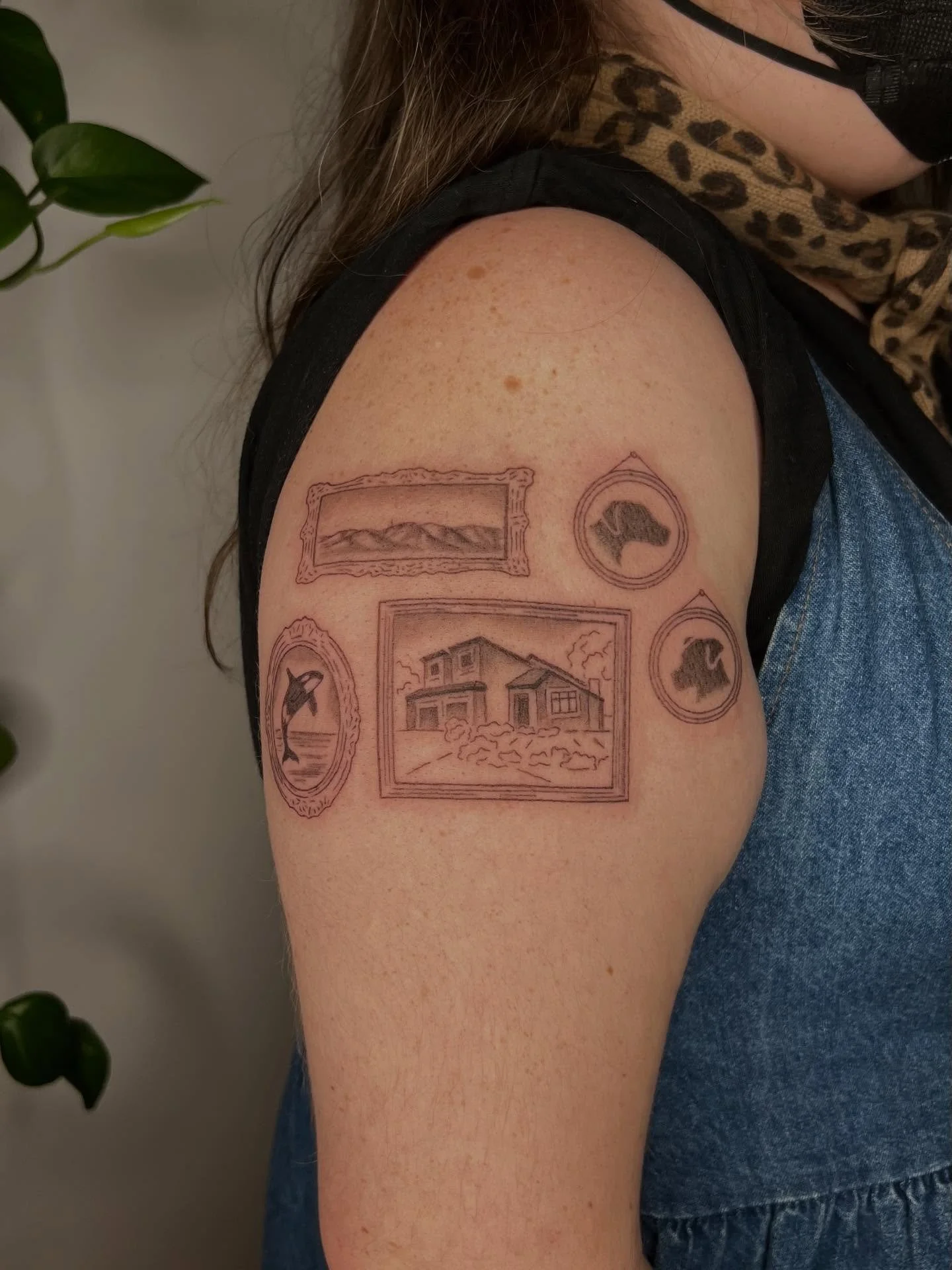 Very special custom gallery for Caitlin. Such an honor, thank you!