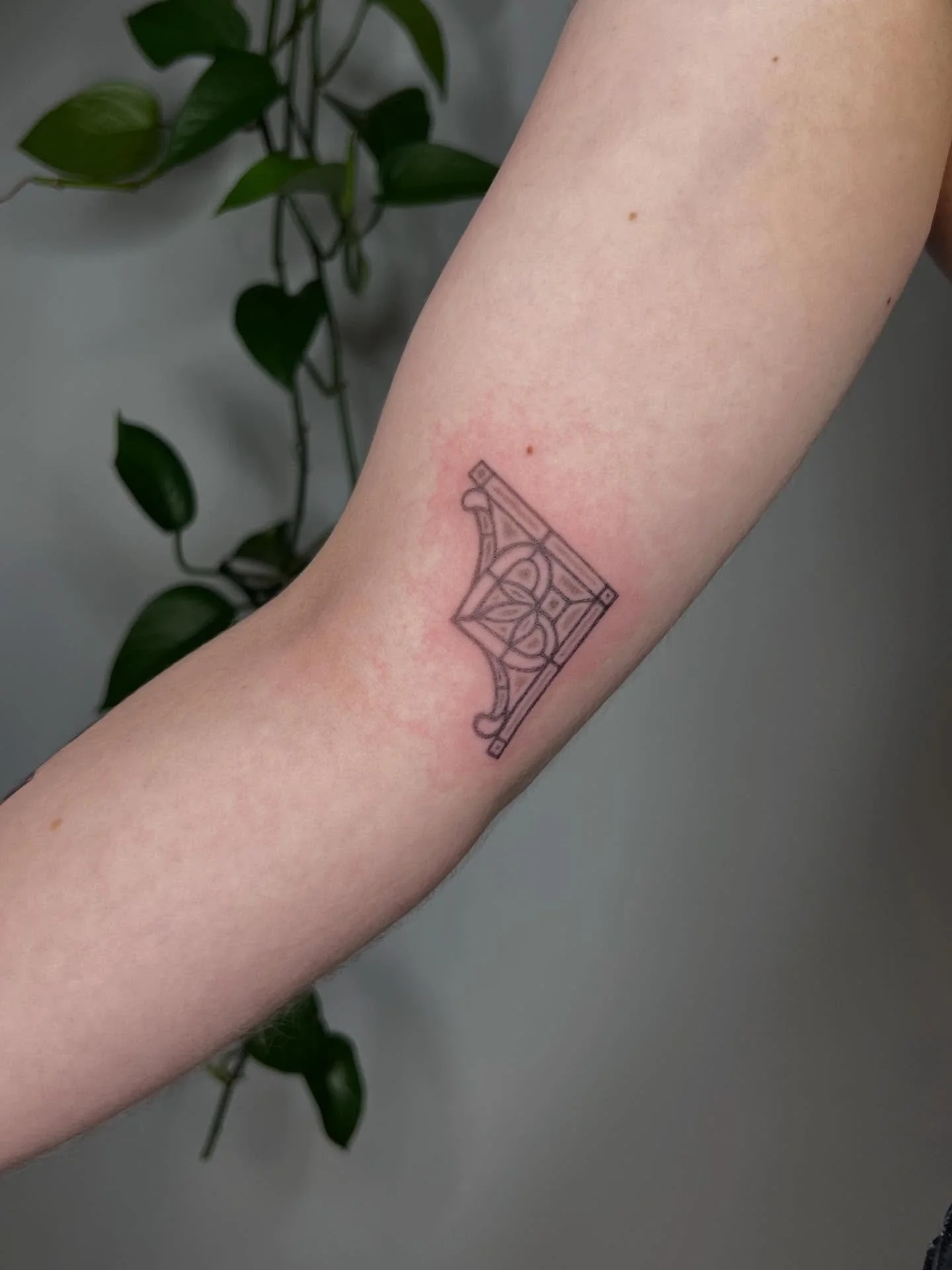 3 for Sam from the other day 💗