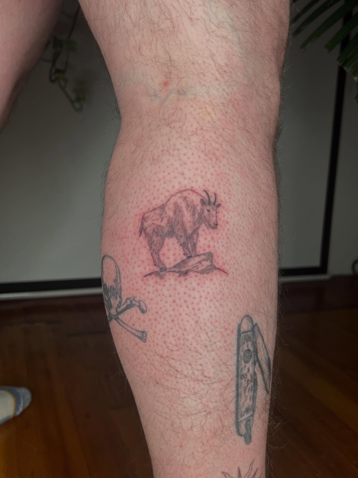 A few recent little guys from flash. Thank you all sm!