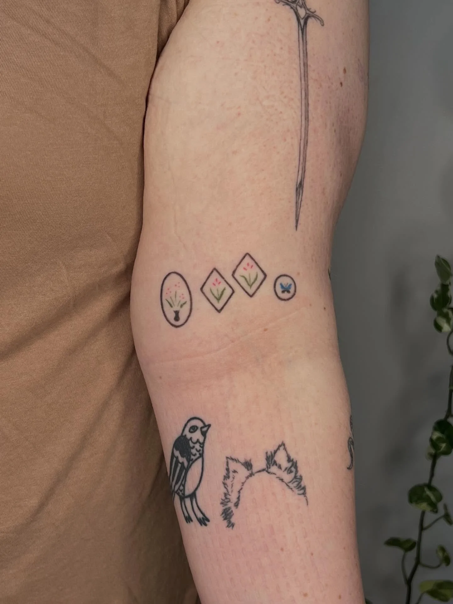 Sweetie frames healed over a year + hummingbird from flash. Books are open for the end of February 💘