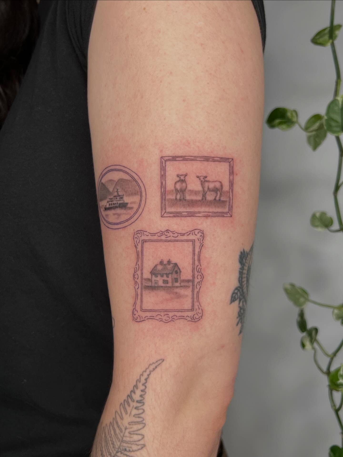 Happy V-Day from me and a couple of teeeeny tiny lambs 💘 🐑