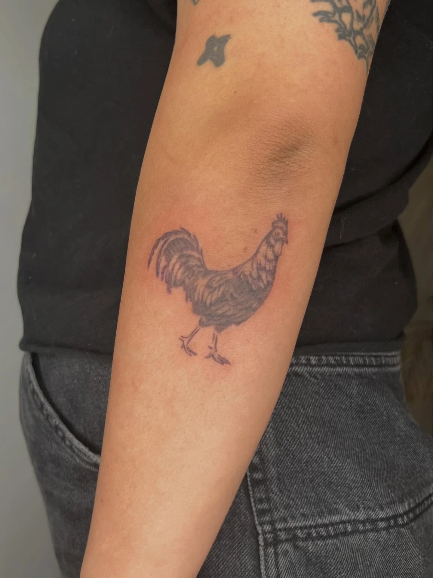 Rooster + snake for Jarita- fresh &mdash;> a few months healed. Thanks so so much <3