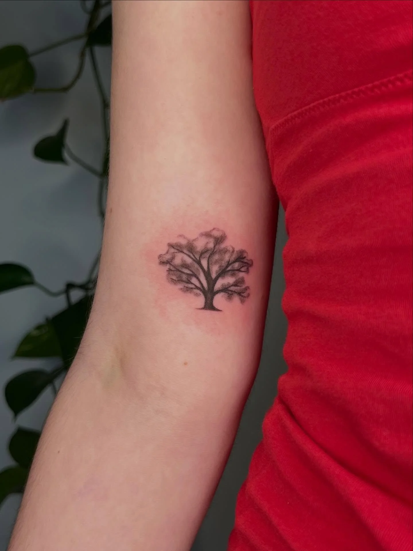 A couple of recent projects based on trees from clients&rsquo; yards 🫂🌳