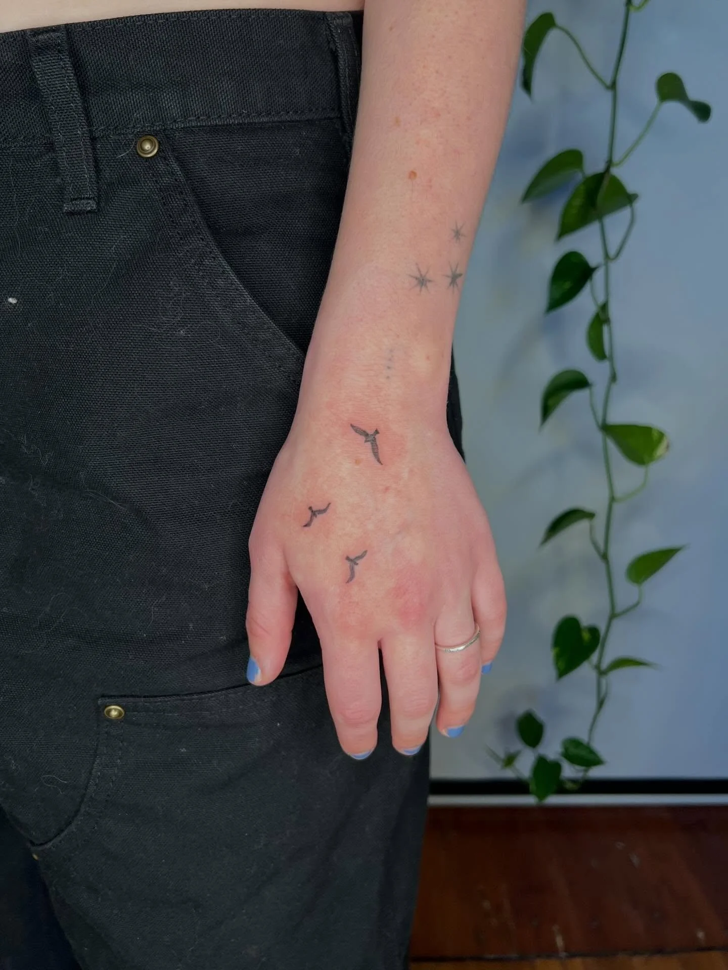 Some recent little cuties 💃