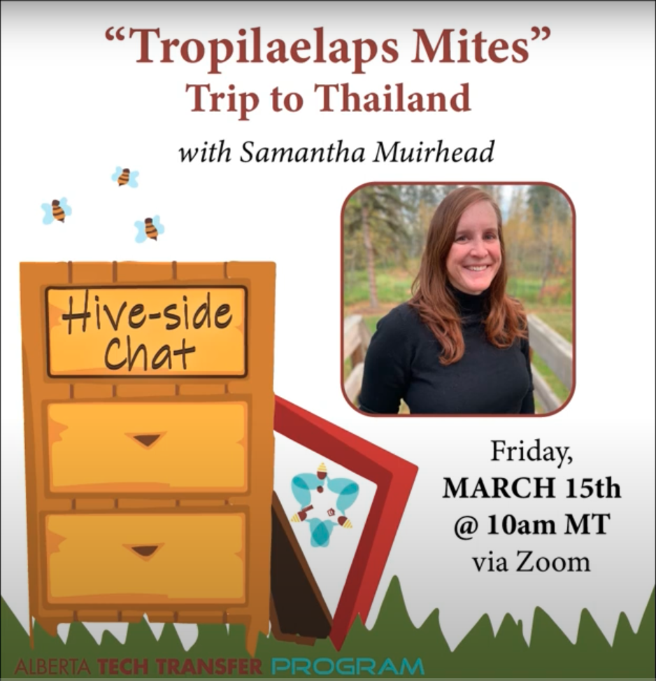 Catch the Hive-Side Chat: “Tropilaelaps Mites – Trip to Thailand with ...