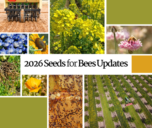 2026 Seeds for Bees Updates — Project Apis m.