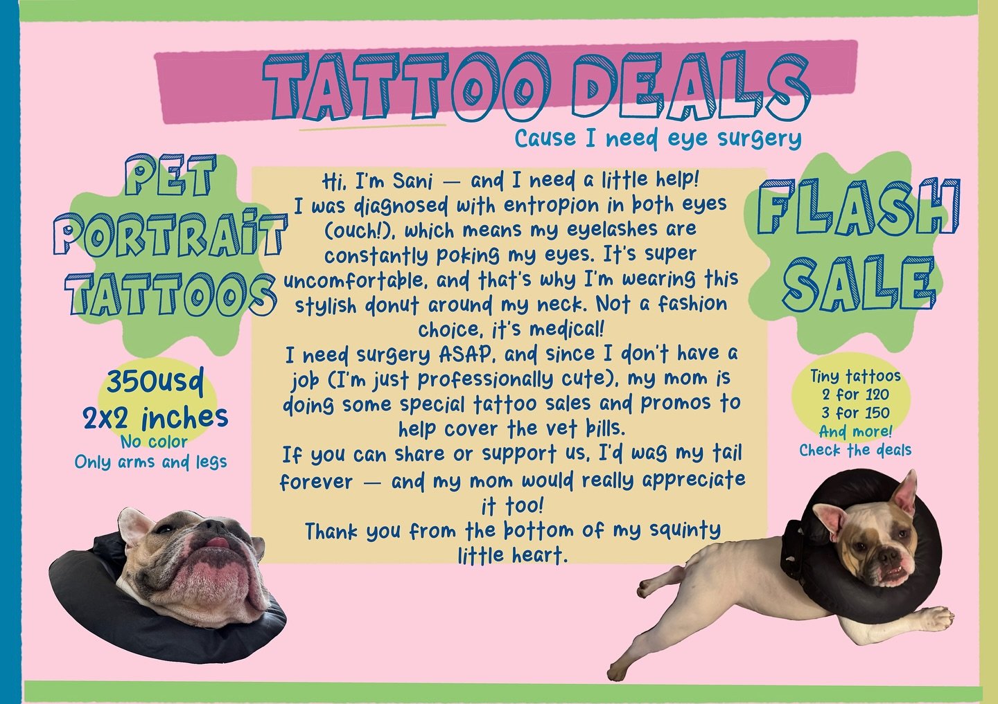 Hey everyone!
I&rsquo;m doing a big sale because Sani needs eye surgery, and this will help cover his vet bills and recovery ❤️&zwj;🩹 
I&rsquo;d be super grateful if you could share this with your friends and family 🙏🏼&mdash; the sooner I can get 