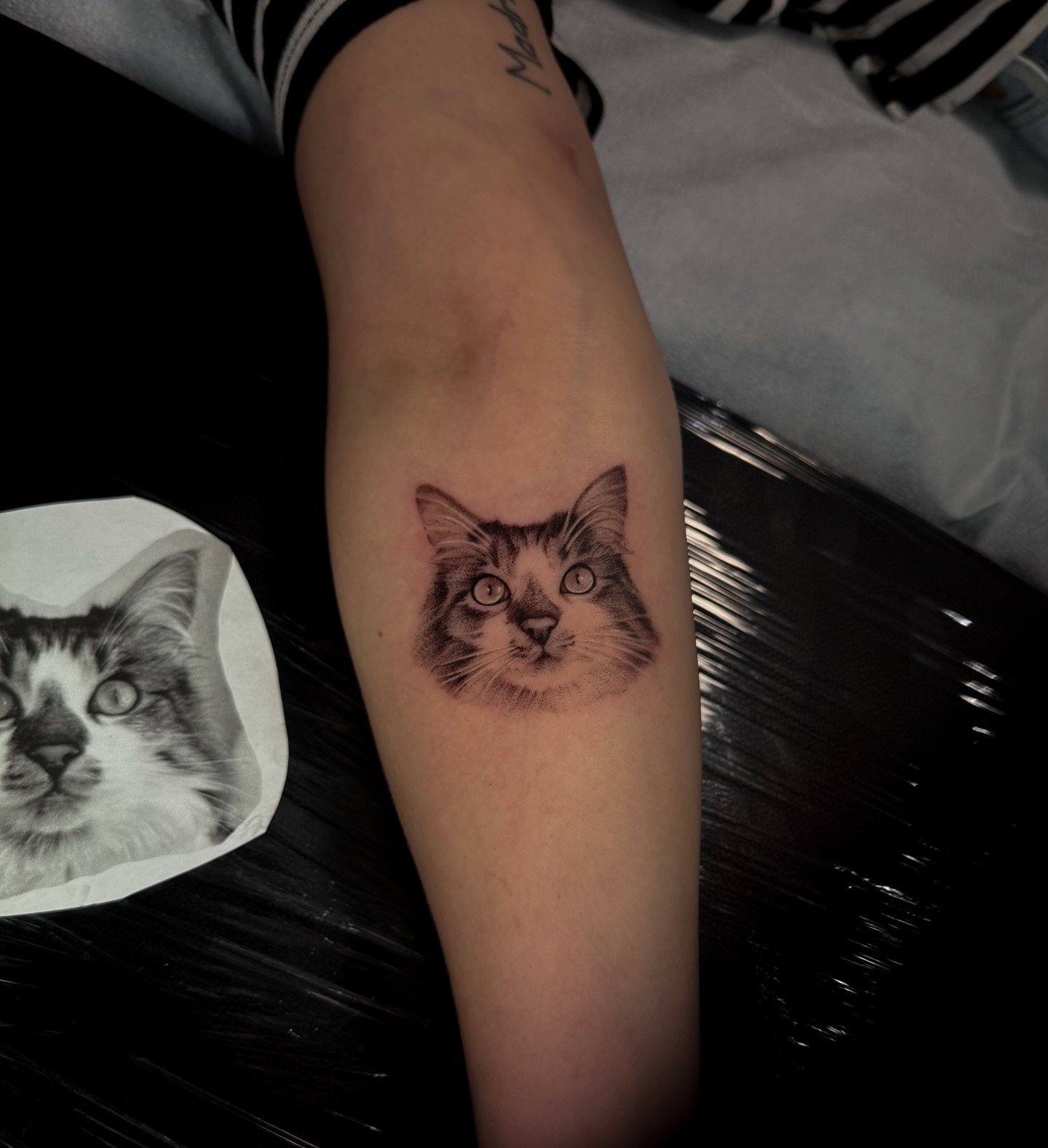 Thank you Jazmine 🙏🏼🫶🏻
The Sani deals still on! $350 pet portraits, 2 inches, no colors, only legs and arms 😊
I&rsquo;m booking June to August 🙌🏼 Dm me your idea or send me an email flan.loredo@gmail.com 💌 
.
.
3 rl for life 🫡💘 I love to wo