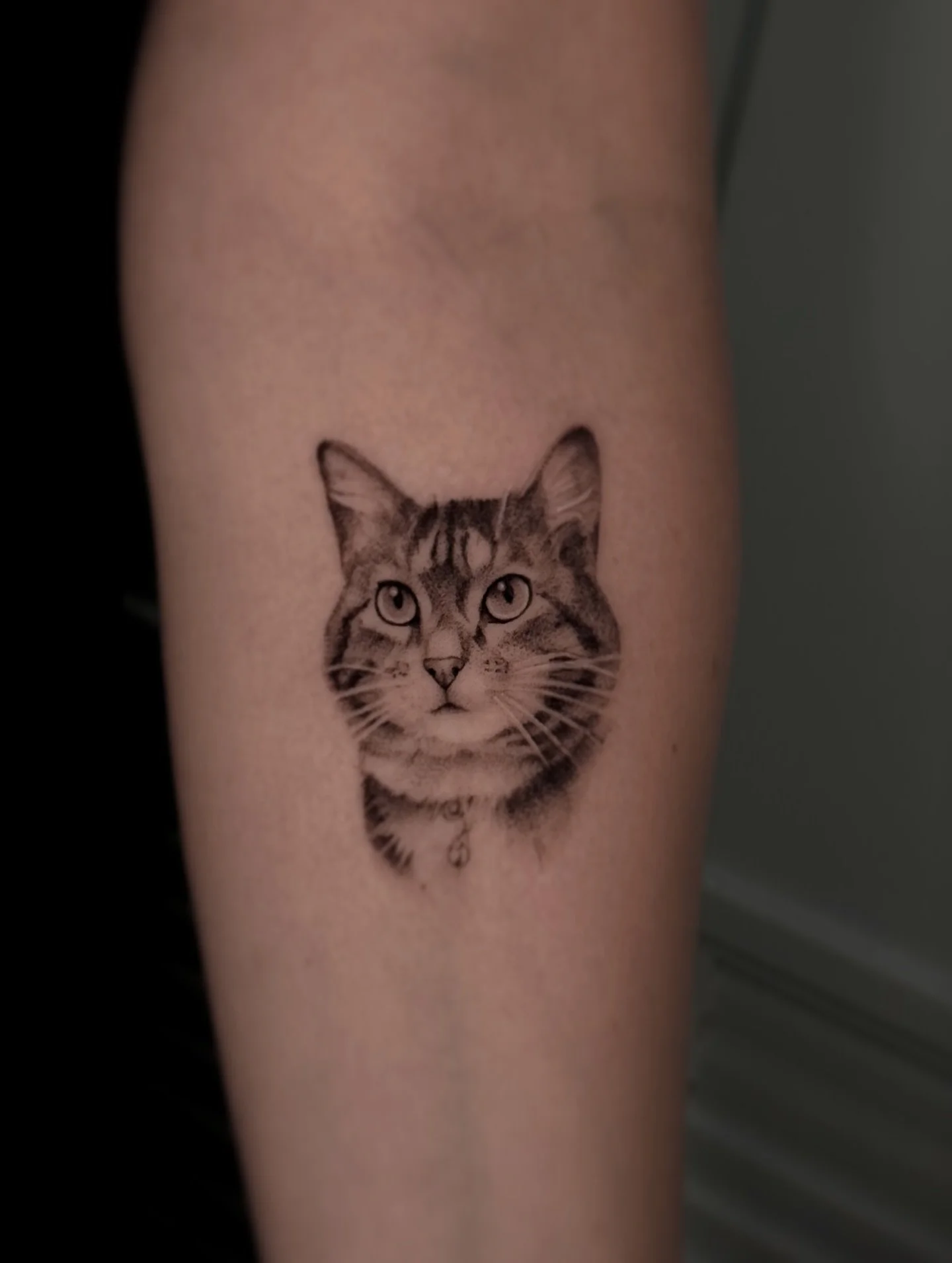 The Sani deals still on! $350 pet portraits, 2 inches, no colors, only legs and arms
I&rsquo;m booking July to September😊
To book Dm me your idea or
send me an email to flan.loredo@gmail.com 💌

3 rl for life🫡
I love to work with @pepax.official🫶?