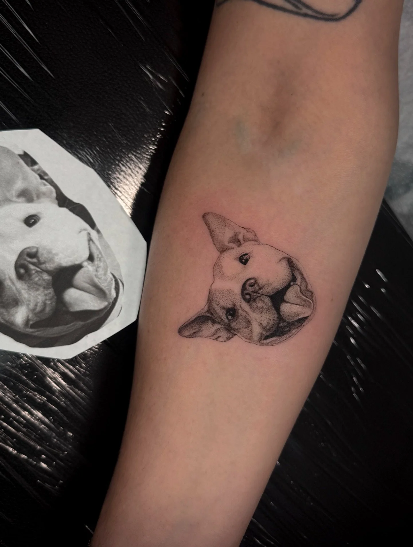 The Sani deals still on! $350 pet portraits, 2 inches, no colors, only legs and arms
I&rsquo;m booking July to September🌞🫶🏻
To book Dm me your idea or send me an email to flan.loredo@gmail.com📲
3 rl for life
I love to work with@pepax.official

#t