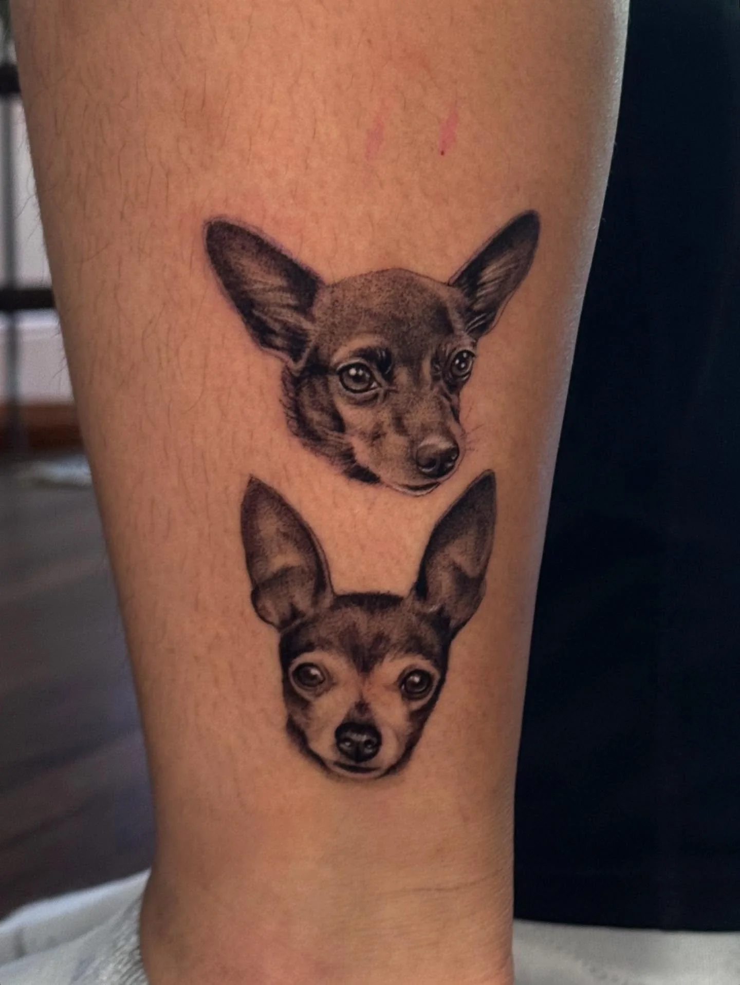 Done by @flanlo 🕉️🕉️🕉️ DM her to book @flanlo @flanlo @flanlo

#chicagotattooartist #chicagotattooshop #chicagotattooshops #chicagotattooartist #chicagotattoos #chicagotattoo #ladytattooer #ladytattooers #midwesttattooer #midwesttattoo #petportrai