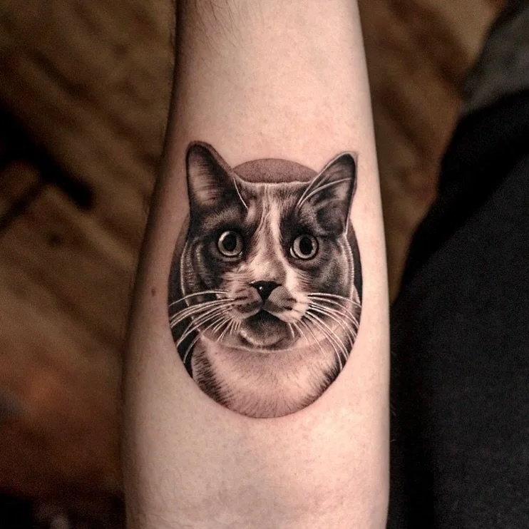 Recently, I had the honor of immortalizing Geoff&rsquo;s cat, who passed away a month ago.
Thank you for trusting me with something so special and letting their memory live on in ink🫶🏻

If you&rsquo;d like a portrait of your pet, check my profile a