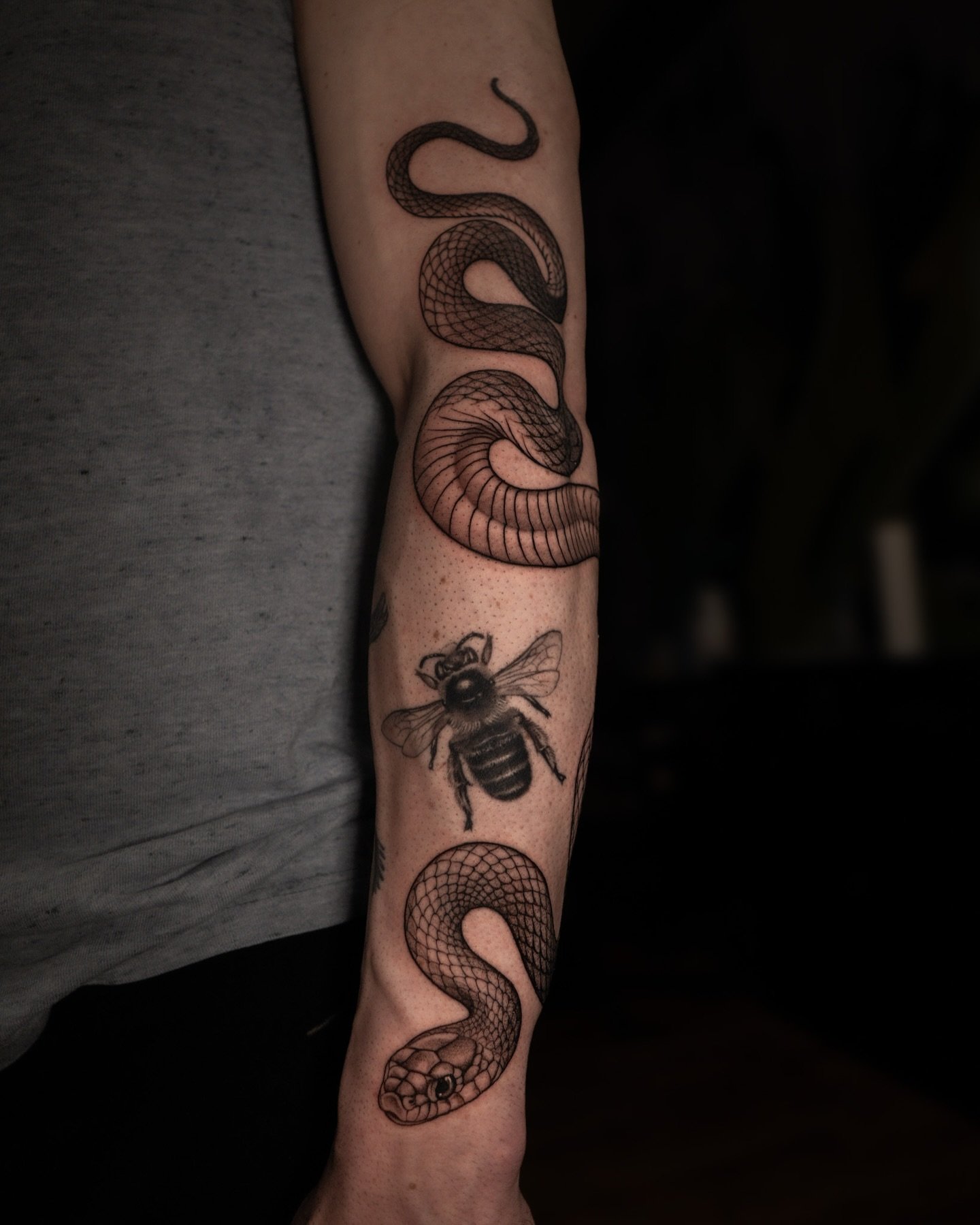 Another snake 🐍 (Bee tattoo fully healed after one year🐝) 
I love doing this kind of work, if you want one, get in touch with me! 
done at @5thcloudstudios 🌿
