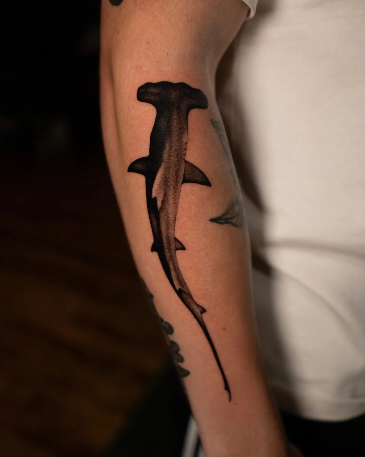 Felipe picked one of the flash designs and this was the result 🦈 You can find more in my story highlights on my profile! Booking the last spots for May!
.
.
.
.
#chicago #deluxetattoochicago #tattooartist #blackandgreytattoo #ink #tattoos