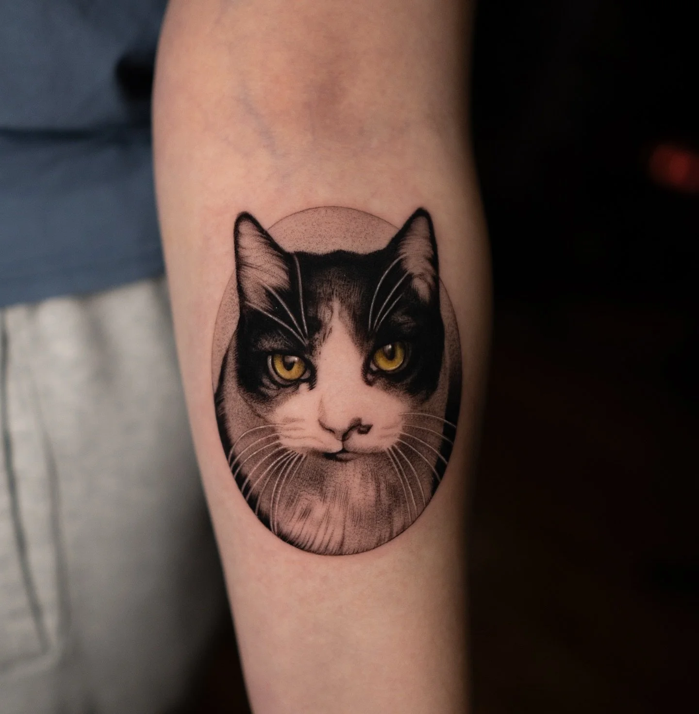 For Lauryn!🐱 I have the last spots available for May. For inquiries, go to my website linked in my profile and send me an email!

#chicago #chicagotattoo #tattoo #ink #pet #petsofinstagram #petportraitartist #artists