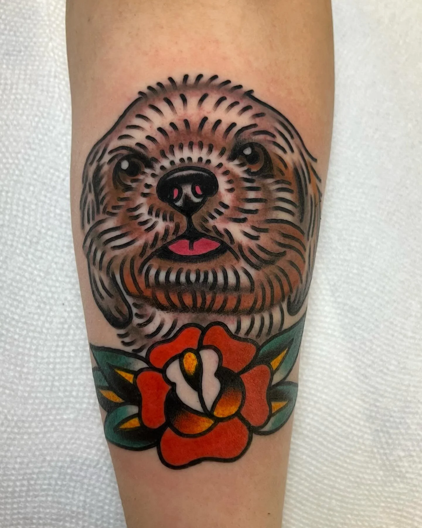 Boop that snoot for world peace 
Done at @good.omen.tattoo 🕉️

#chicagotattooartist #chicagotattooer #chicagotattooshop #traditionaltattoo #ladytattooers