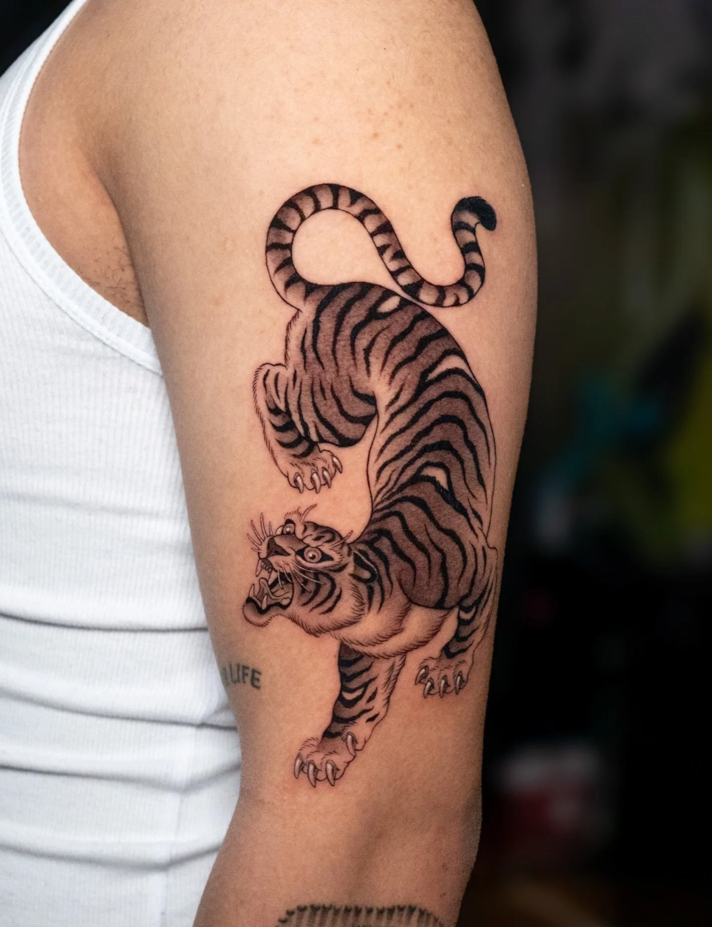 Recently finished tiger 🐅🔥

I have availability for March and April ✨
If you&rsquo;re thinking about your next tattoo, send me a message and let&rsquo;s create something special😎

📩 DM to book