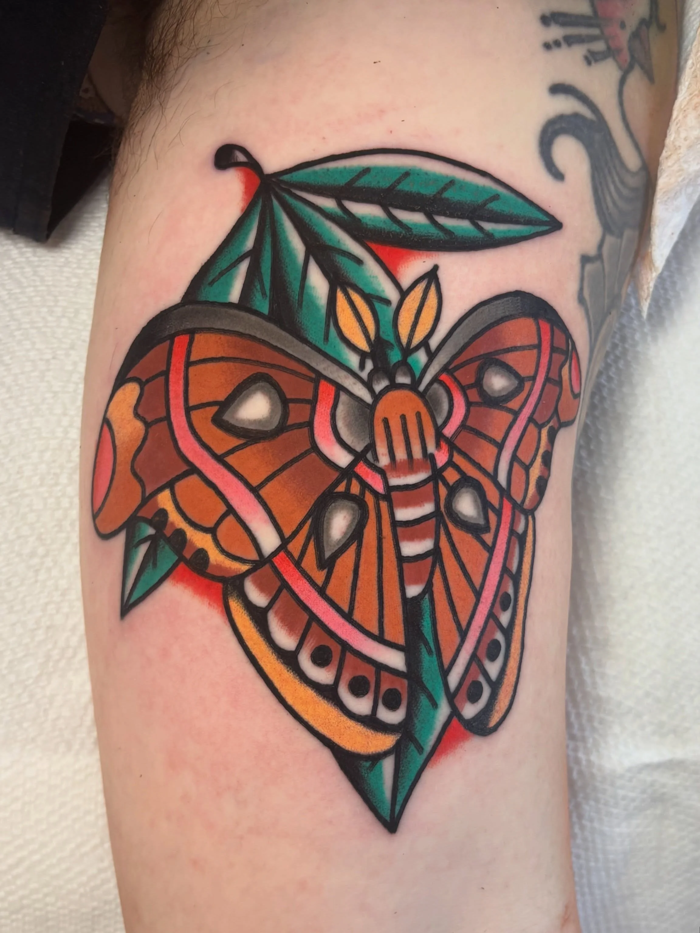 Cuppa tattoos done this week
Thank you to everyone who gets tattooed
 Made at @good.omen.tattoo 🕉️

#chicagotattooer #chicagotattooshop #chicagotattooartist #chicagotattoos #traditionaltattoo