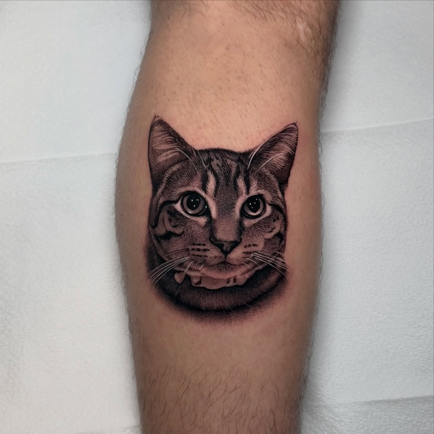 The kitty Ily from my friend @fabri.thebarber , the best barber in Chicago 💈🔥 thanks for your trust! I love when you trust me with your pets&rsquo; tattoos🤝

I&rsquo;m booking the last days of May and June! Send me a message to grab your spot!✌🏻