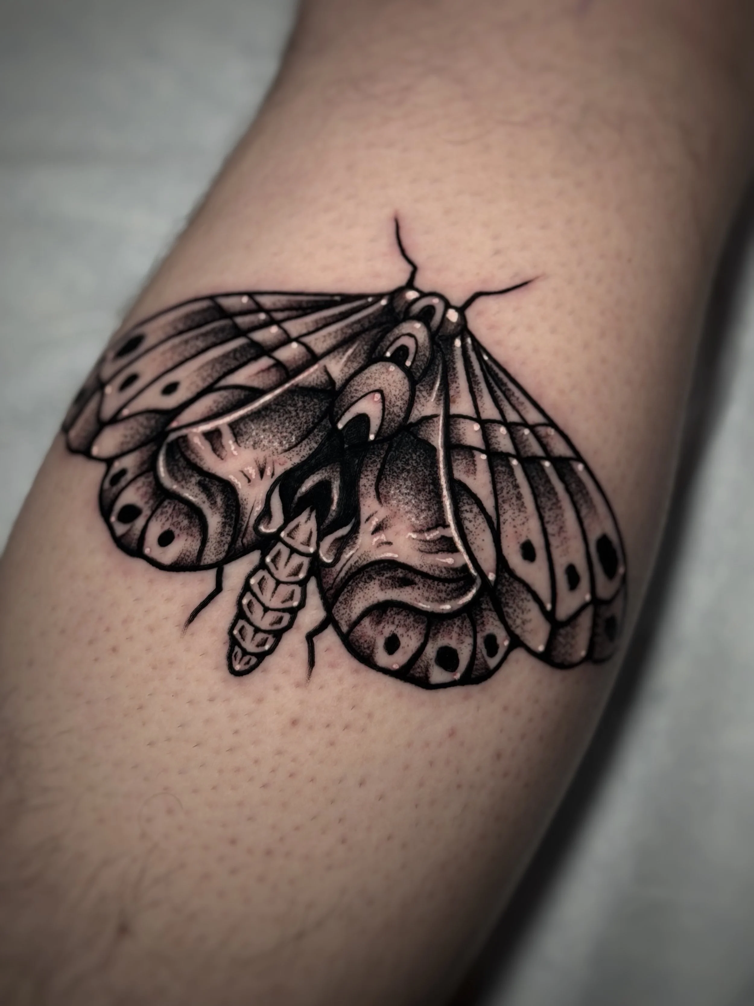 Done by @madrid_tatts 🌙 DM him to book @madrid_tatts @madrid_tatts @madrid_tatts 

#chicagotattooshop #chicagotattooshops #chicagotattooer #chicagotattoos #chicagotattooartist