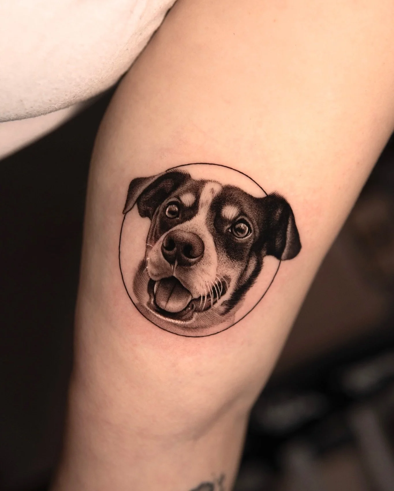 Got to tattoo Mango 🖤 Thank you Julia, for trusting me with your pet!

I have some spots open for September &amp; October, so DM me if you&rsquo;d like to get your pet tattooed 🫶
 
Done at @good.omen.tattoo 🕉️