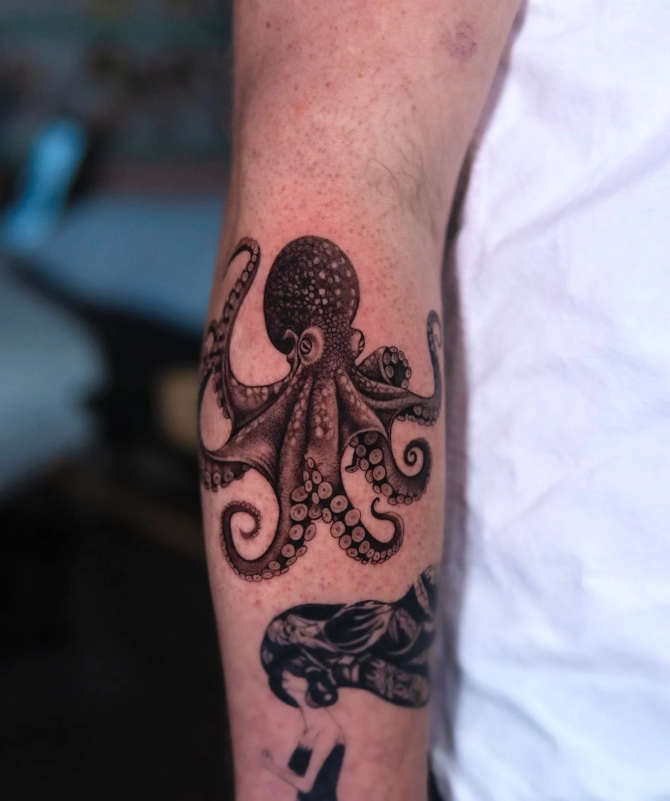 An octopus and some sea animals I&rsquo;ve done recently 🐙🌊

Thank you so much to everyone who has trusted me with your ideas and my work! I&rsquo;d love to keep doing more animal tattoos, so if you have an idea in mind, hit me up! 🫶

I also have 