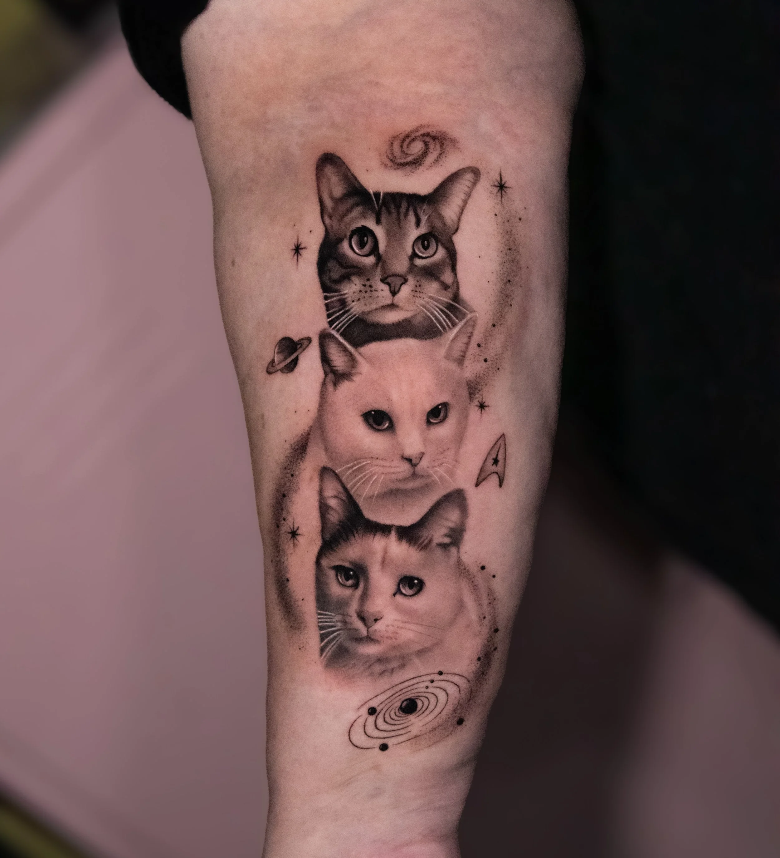 Thank you, Mary, for trusting me with your three cat babies for this Star Trek inspired tattoo 🖤🚀

I&rsquo;ll be answering emails today and tomorrow. I&rsquo;m currently booking for October, and I only have 2 spots left for this month! ✨

If you&rs
