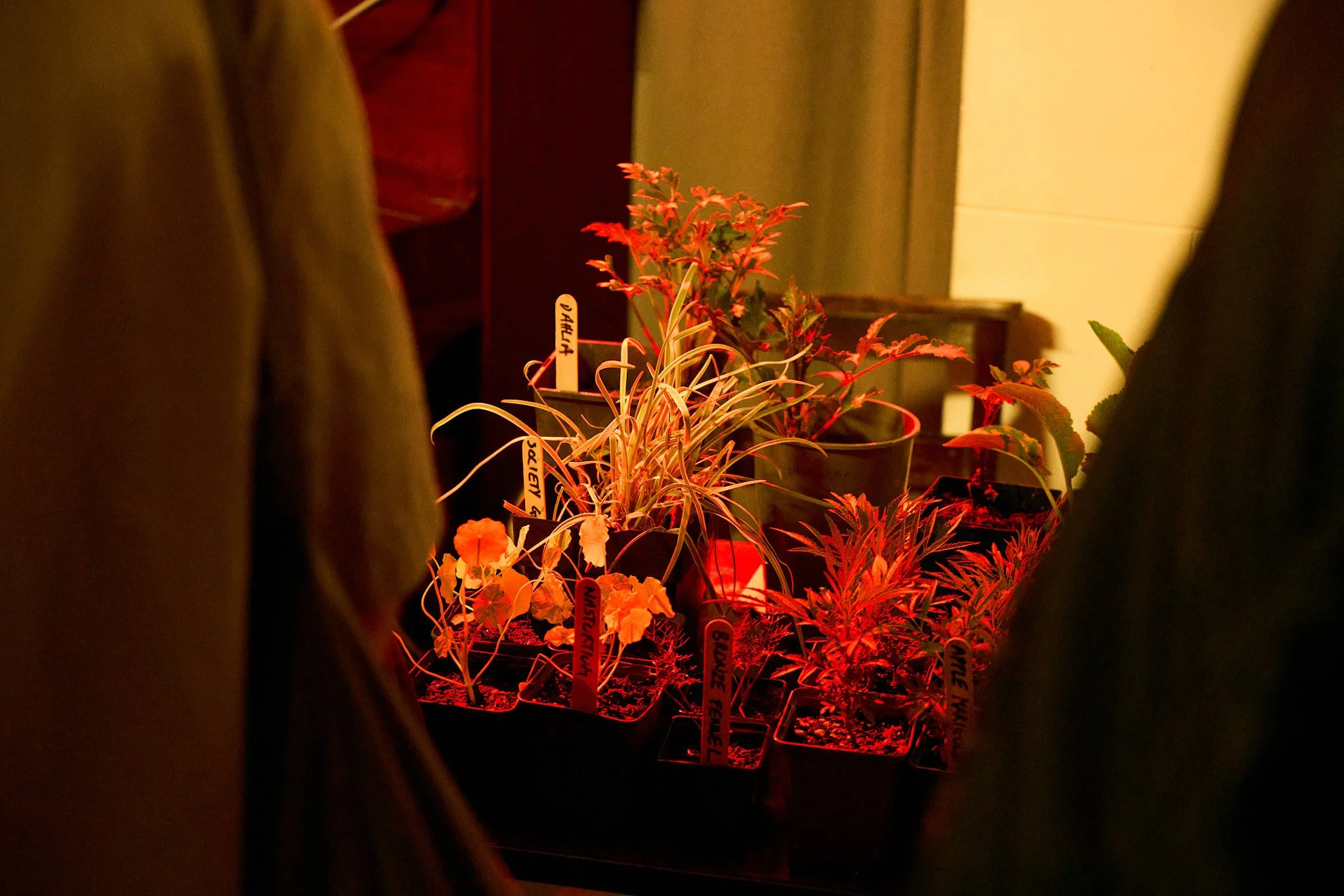 DSC05627_2.jpg