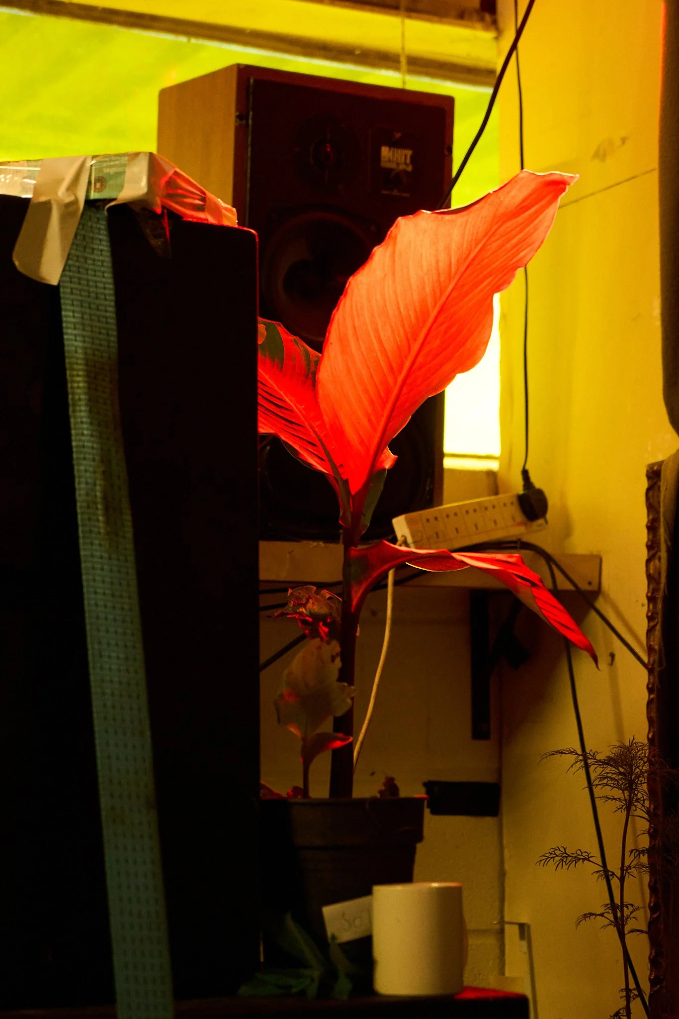 DSC05622_2.jpg