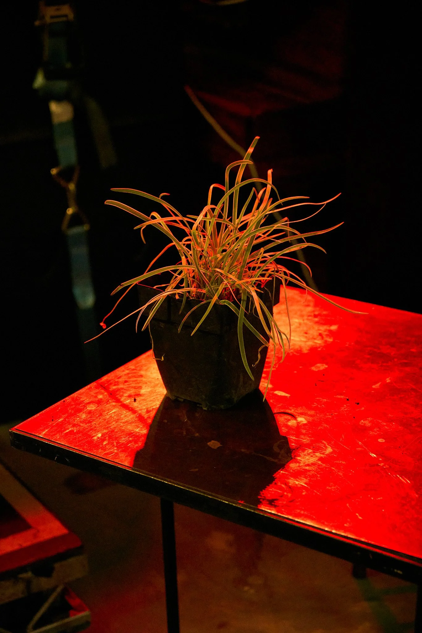 DSC05473_2.jpg