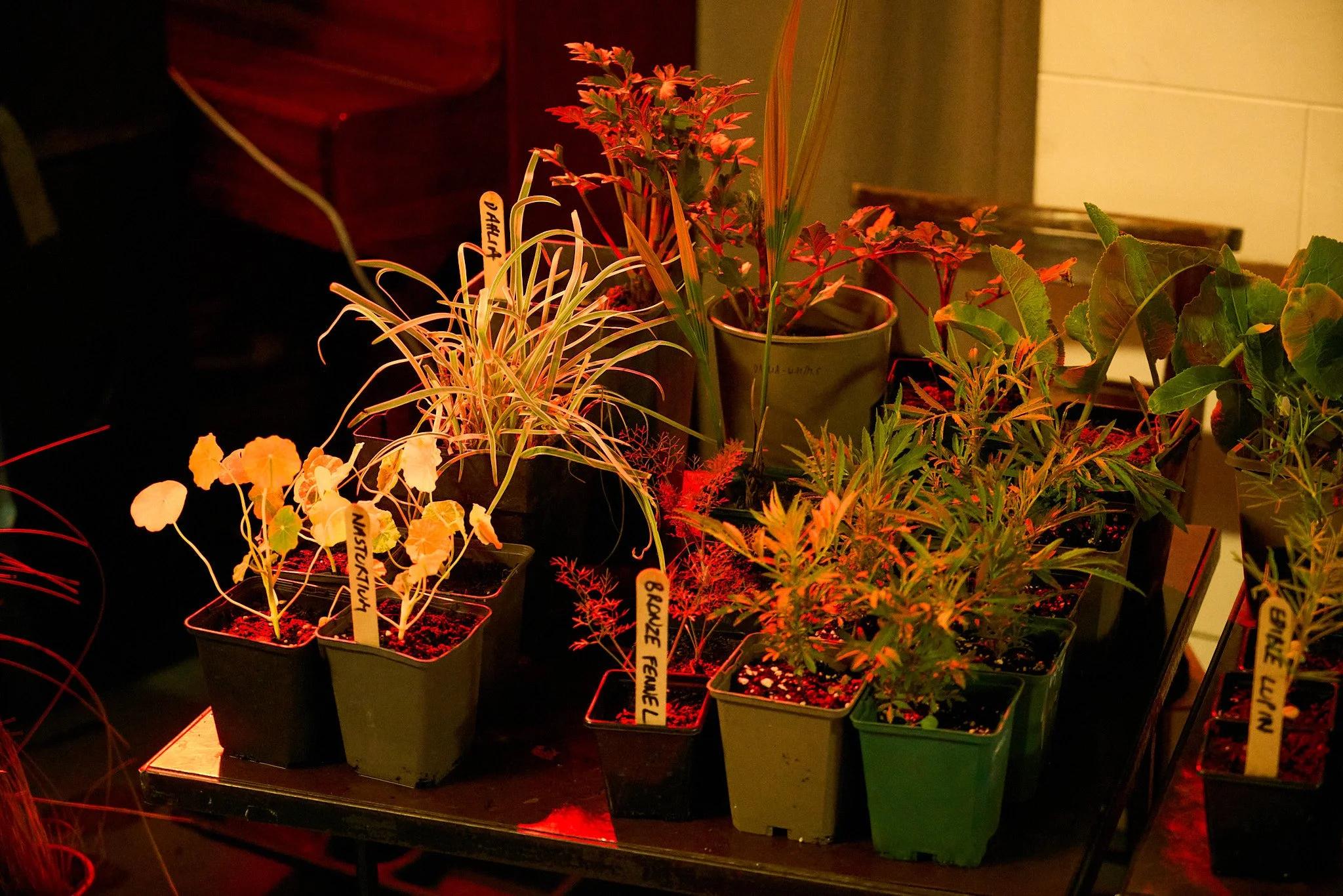 DSC05492_2.jpg