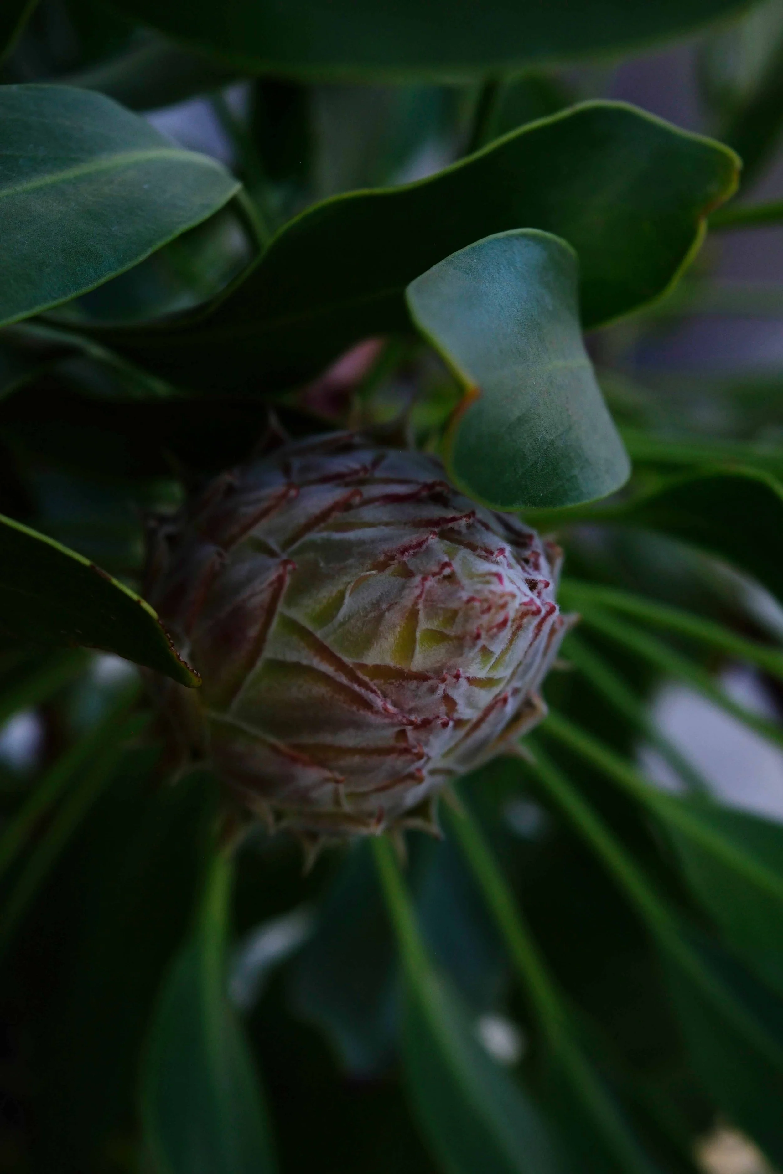 A Moment of Gratitude and Offering