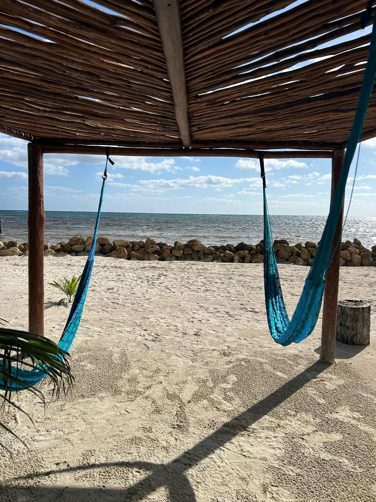 Hammocks.jpeg