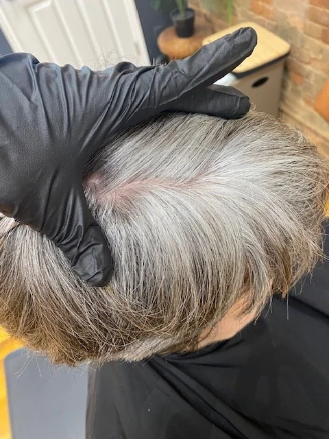 grey hair before lowlight session