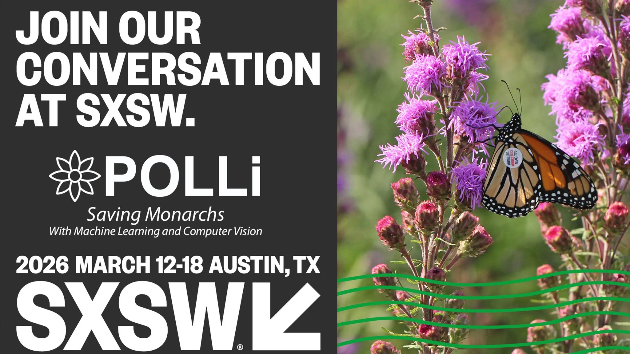 Polli Accepted to Present at South by Southwest in 2026 