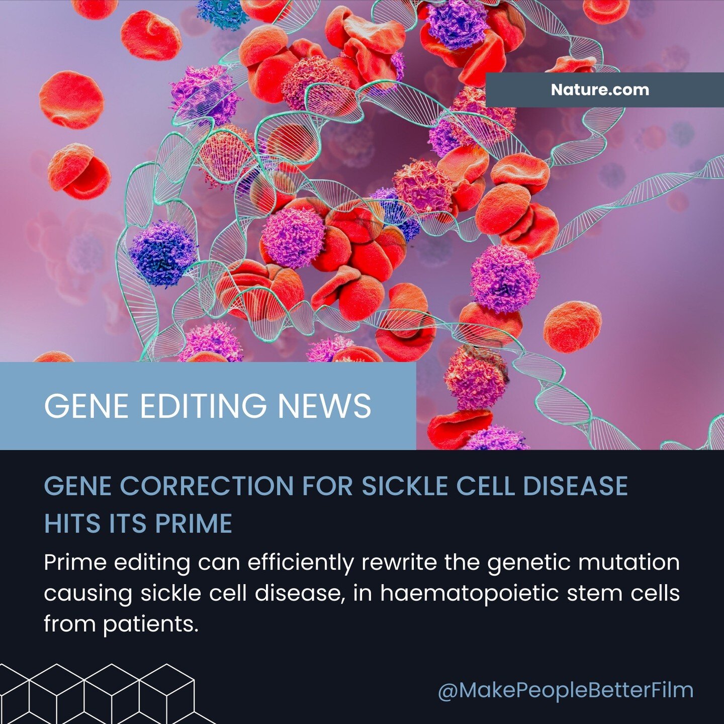 Prime editing efficiently corrects the genetic mutation causing sickle cell disease in patients' hematopoietic stem cells.

Therapeutic genome editing of haematopoietic stem cells (HSCs) may permanently remedy sickle cell disease (SCD) and other seve