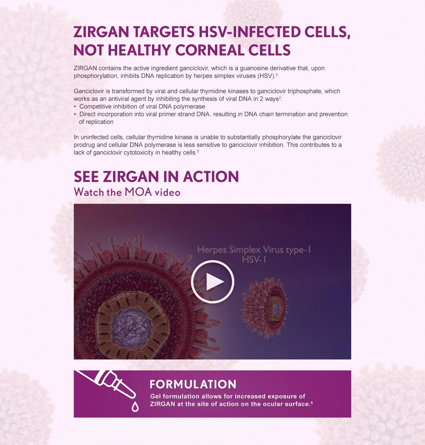 zirgan_videoplayer.jpg